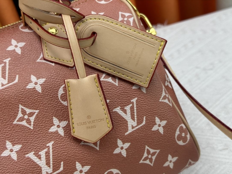 LV Speedy Bags